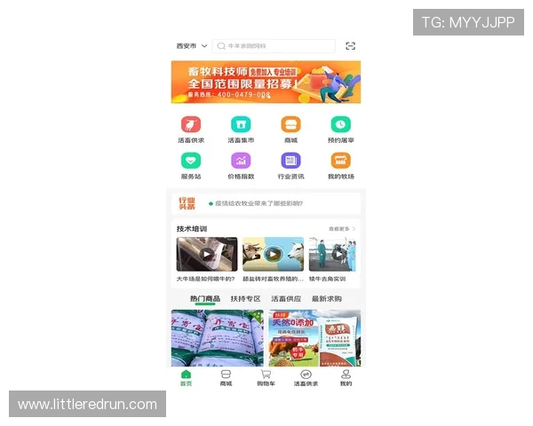 亚游视讯客户端用户评价与反馈汇总，帮助新用户了解真实使用体验与建议
